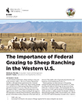 The Importance of Federal Grazing to Sheep Ranching in the Western U.S. cover